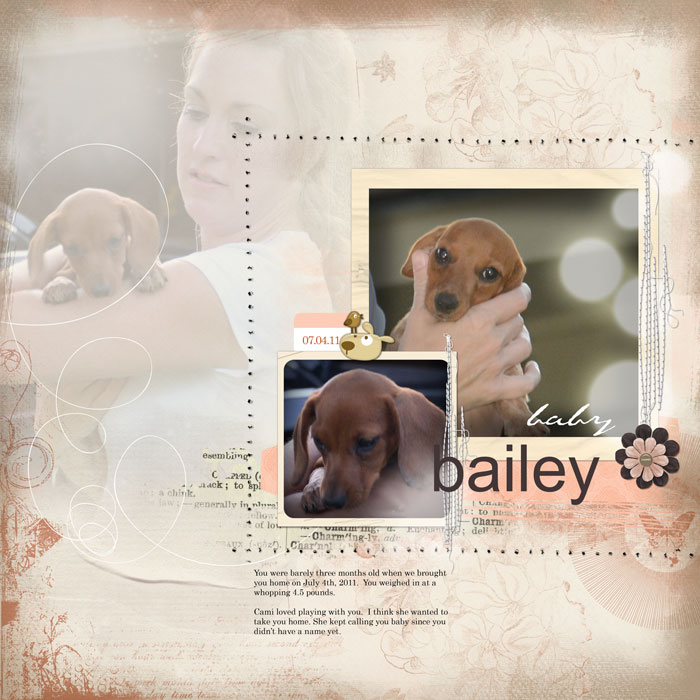 Bailey