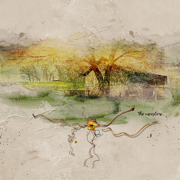 barn in the meadow