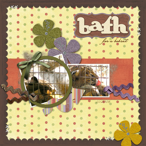 Bath For A Bobcat