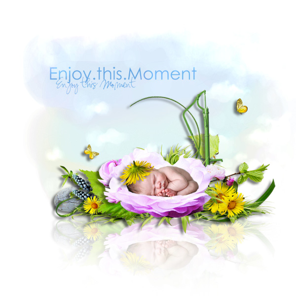 BCD_WelcomeInMyGarden77