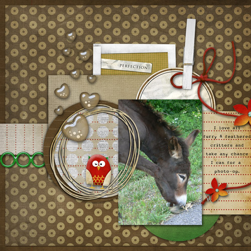 BDay Bash-Template Challenge-Tues