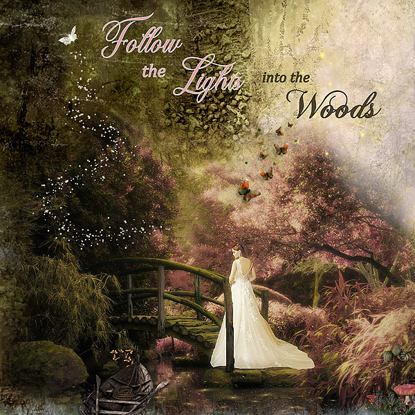 BE Follow the Light into the Woods