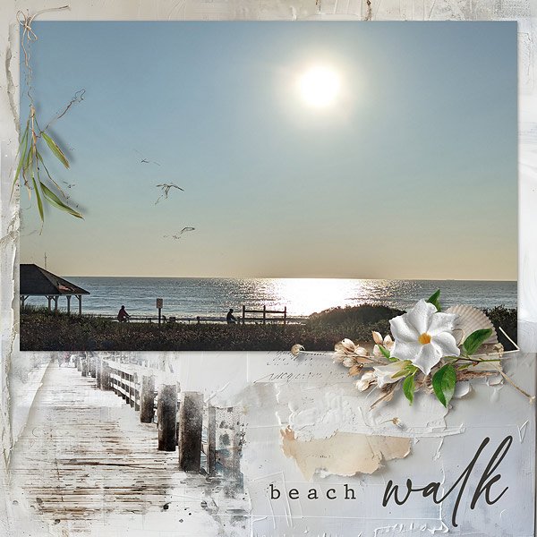 Beach Walk