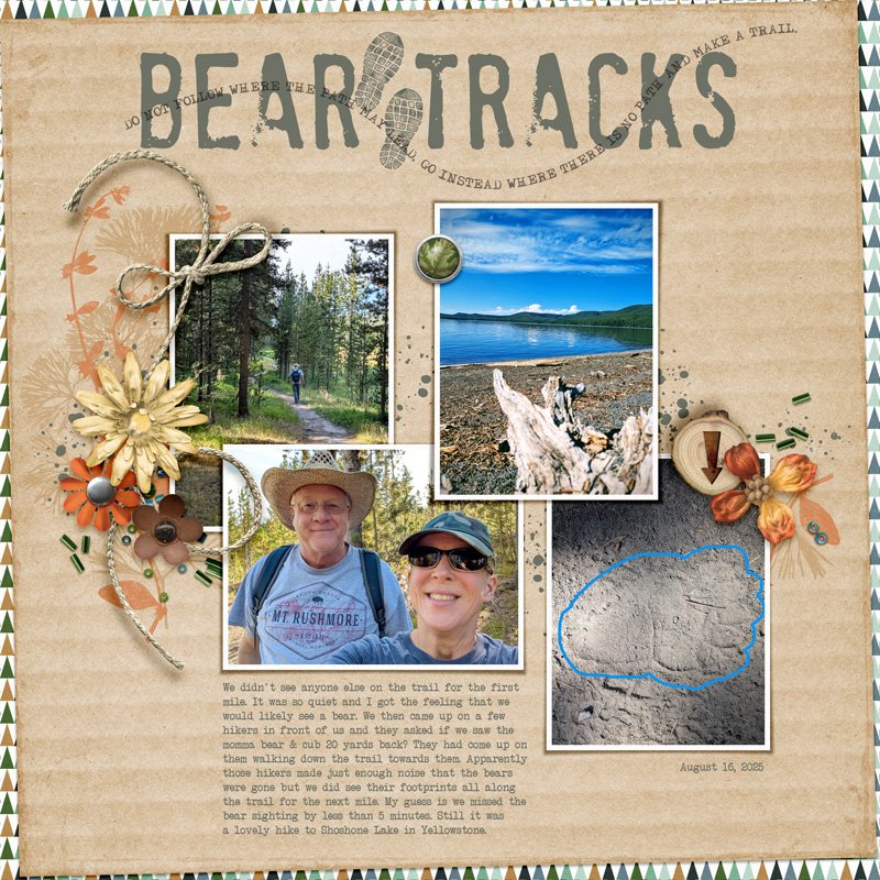bear-tracks.jpg