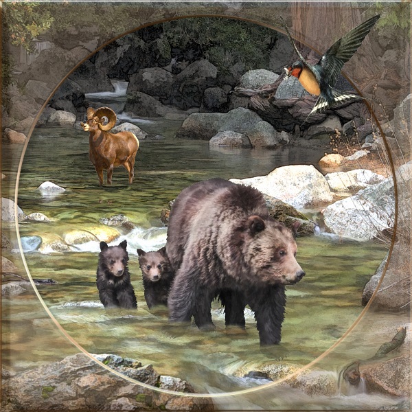 Bears.jpg