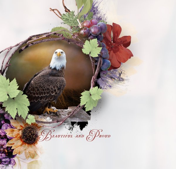 Beautiful-and-proud--Bald-Eagle,-Challenge-5-White-Space