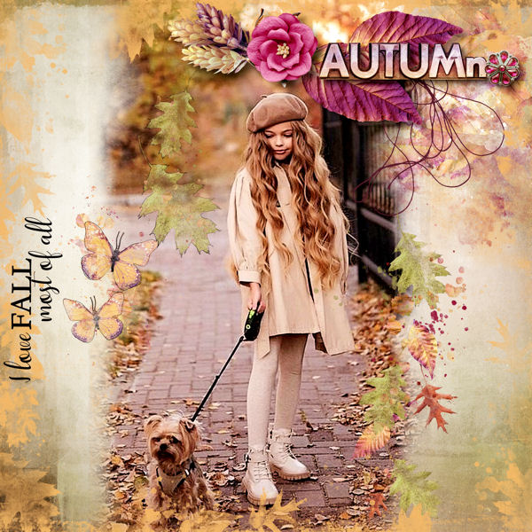 Beautiful Autumn Collection