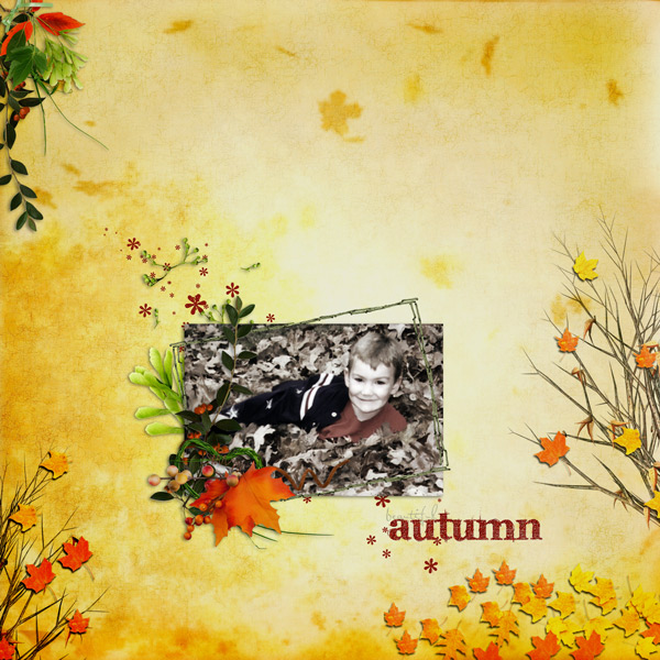 Beautiful Autumn