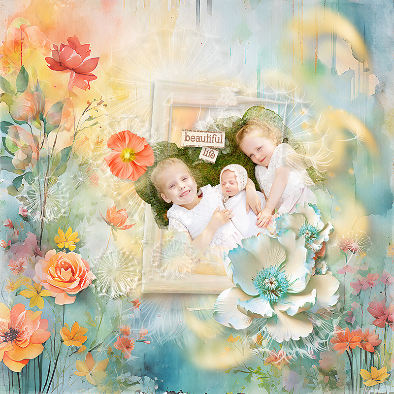 Beautiful Life
