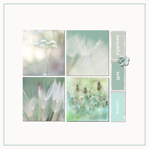 Beautiful Soft Colors...