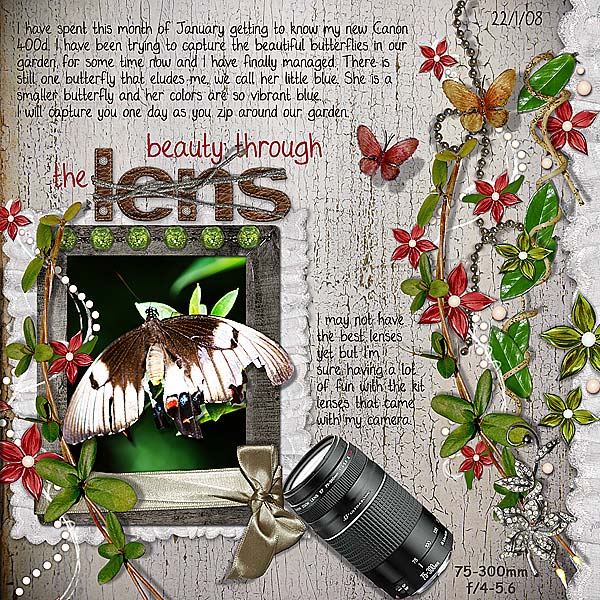 Beauty Through the Lens
