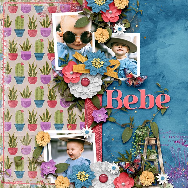 Bebe