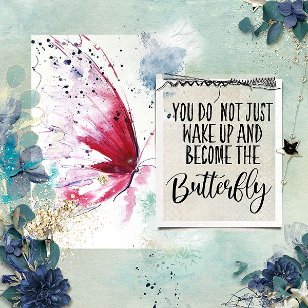 Become the Butterfly
