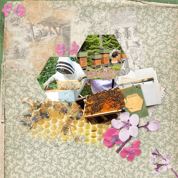 Beekeeping
