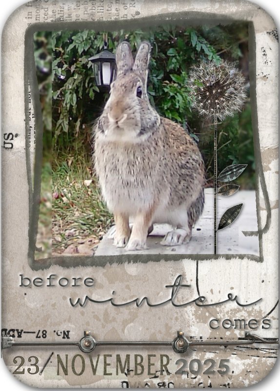 Before Winter Comes (ATC)