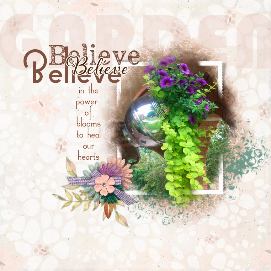 Believe in Blooms