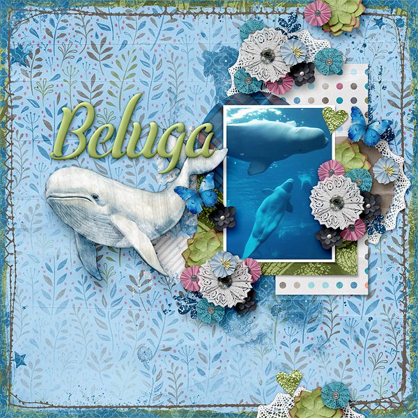 Beluga