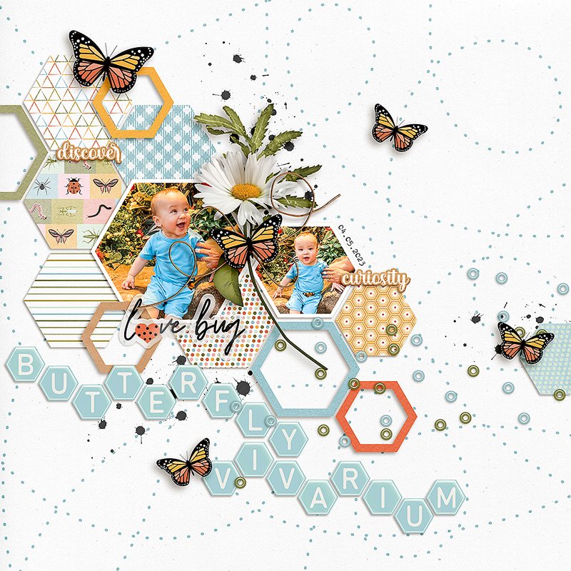 Benjamin at the Butterfly Veranium