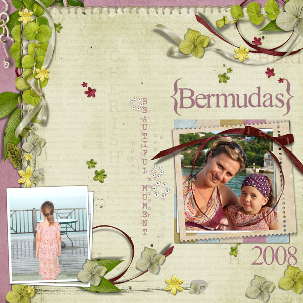 Bermudas 2008