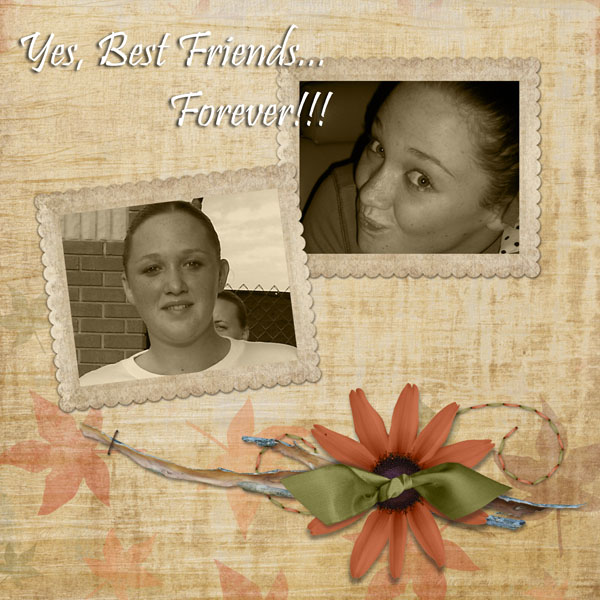 Best Friends Forever...