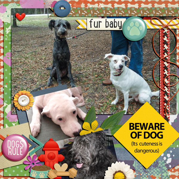 Beware Cute Dogs