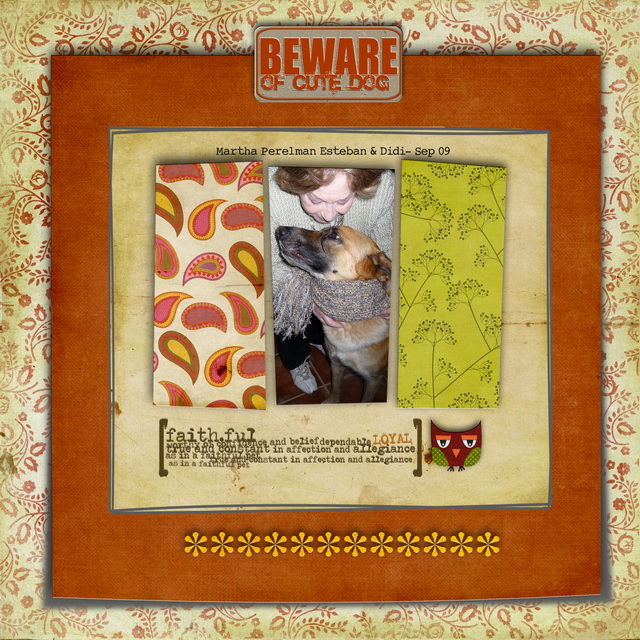 Beware of the dog