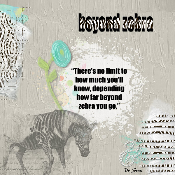 Beyond Zebra