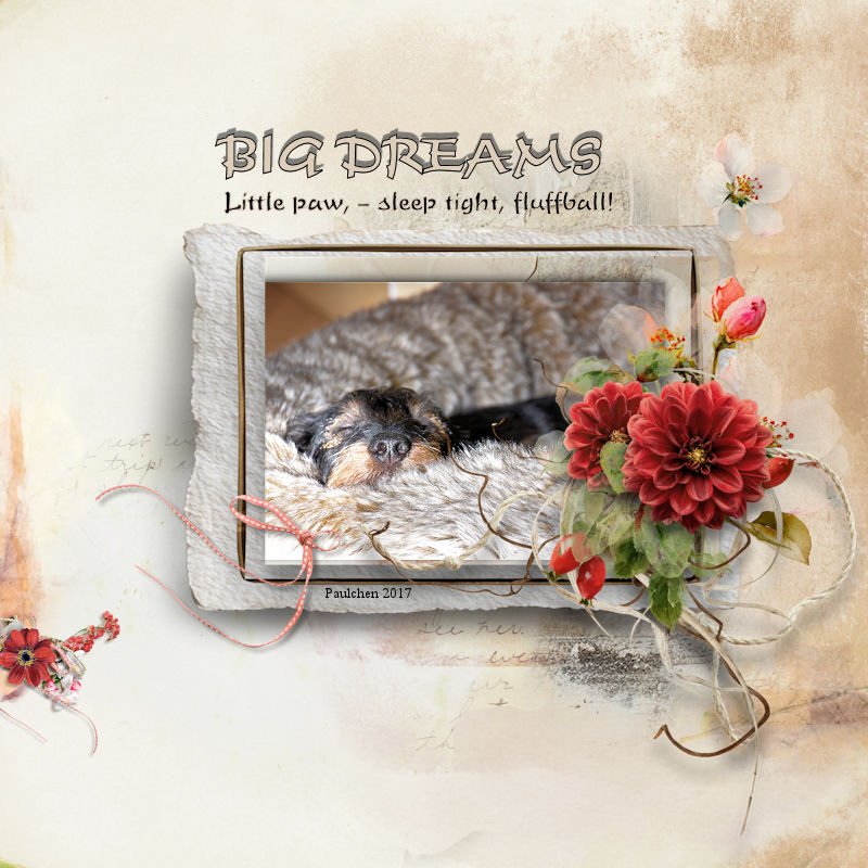 Big Dreams_Chall.jpg