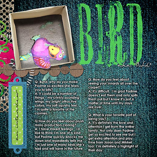 Bird: An Interview