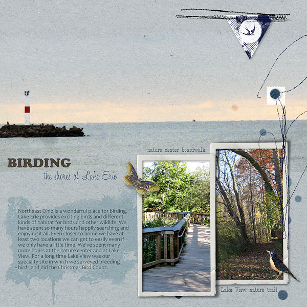 Birding Lake Erie