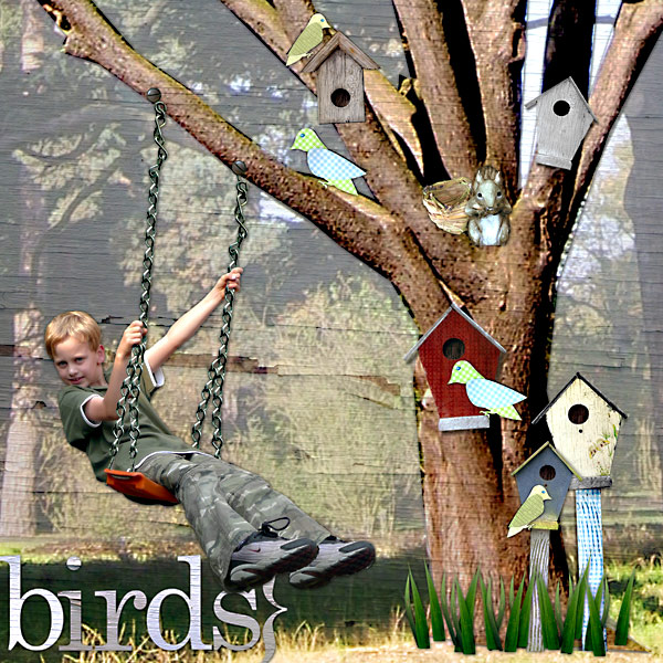 Birds}