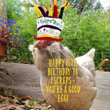 Birthday Chicken 2.jpg