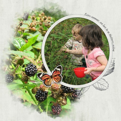 Blackberry Picking