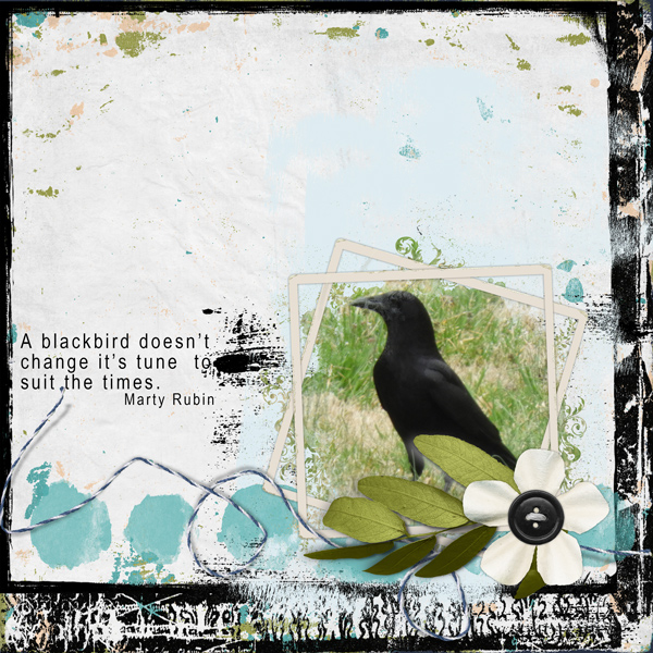 Blackbird-web.jpg