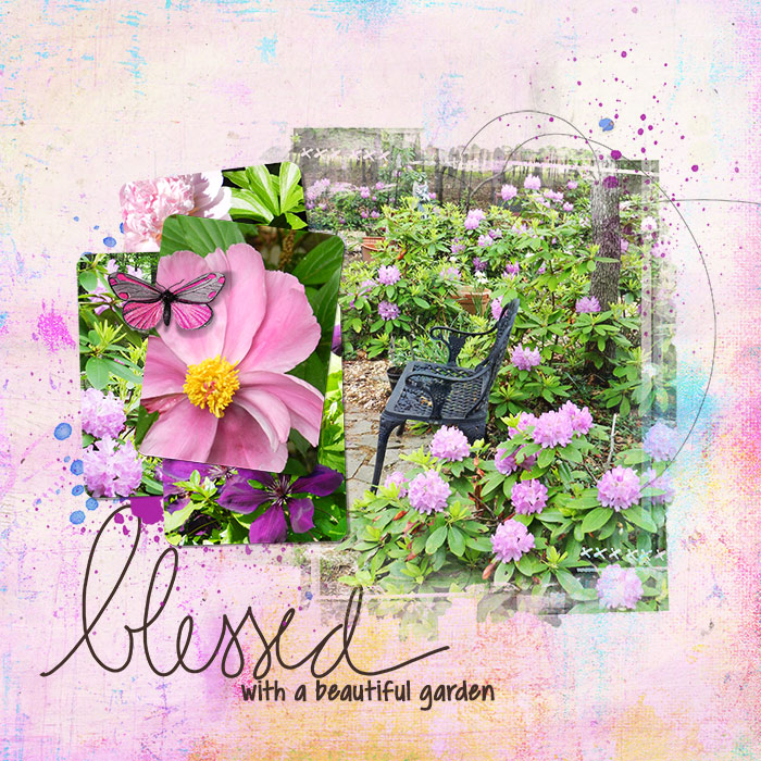 Blessed with a beautiful garden