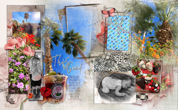 Blocked Design Palm Springs Roundup