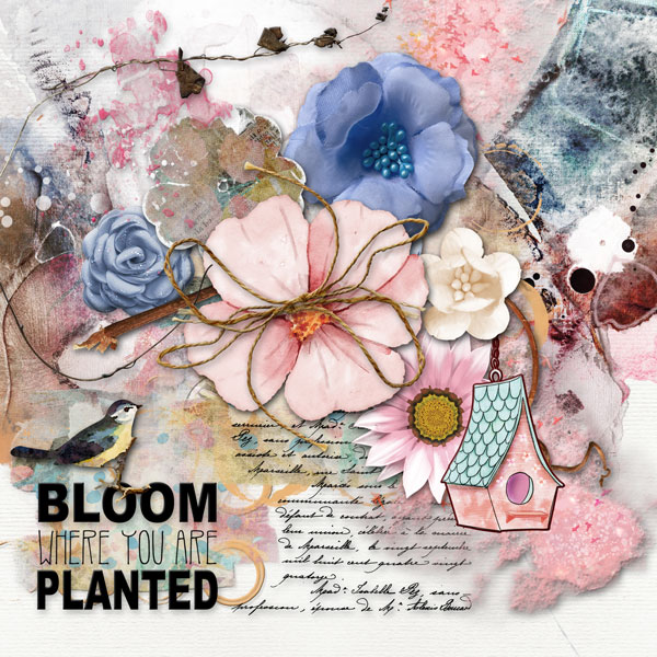 Bloom Where You Are Planted