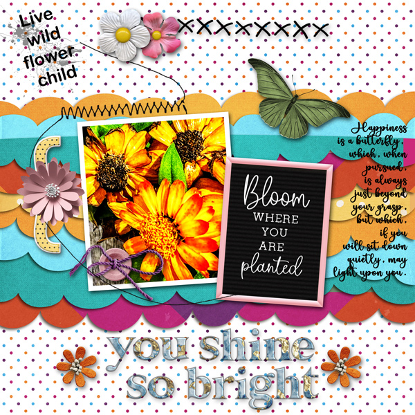 Bloom Where You Are Planted