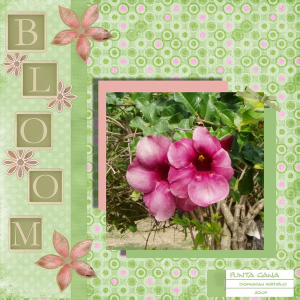 Bloom