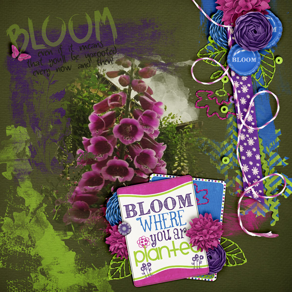 Bloom