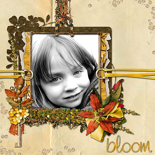 Bloom