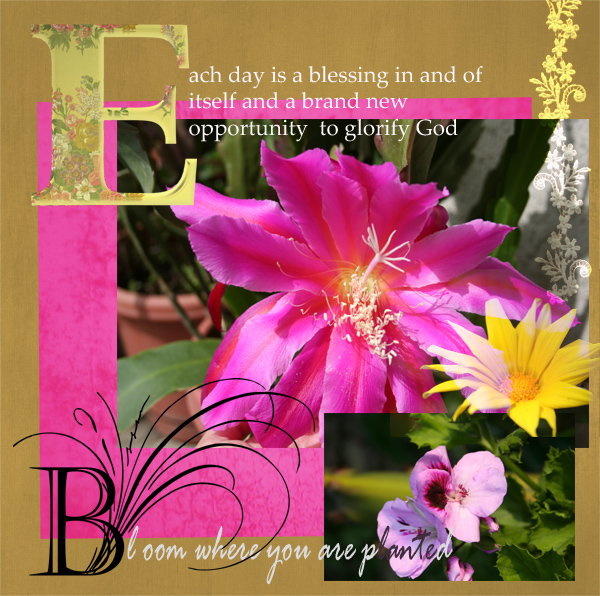 Bloom.....