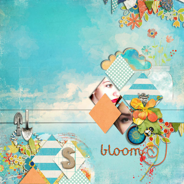 Bloom