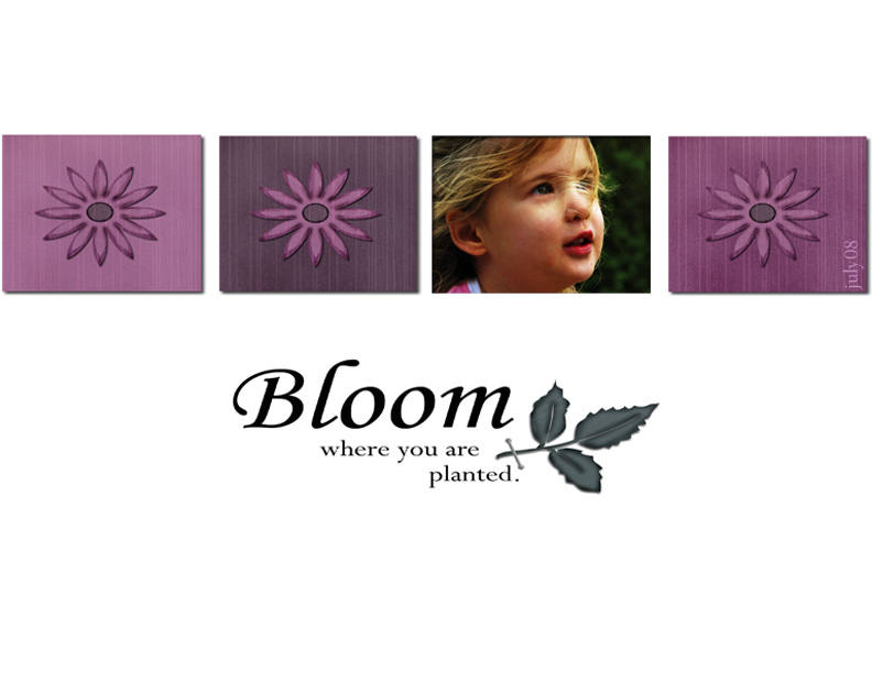 bloom