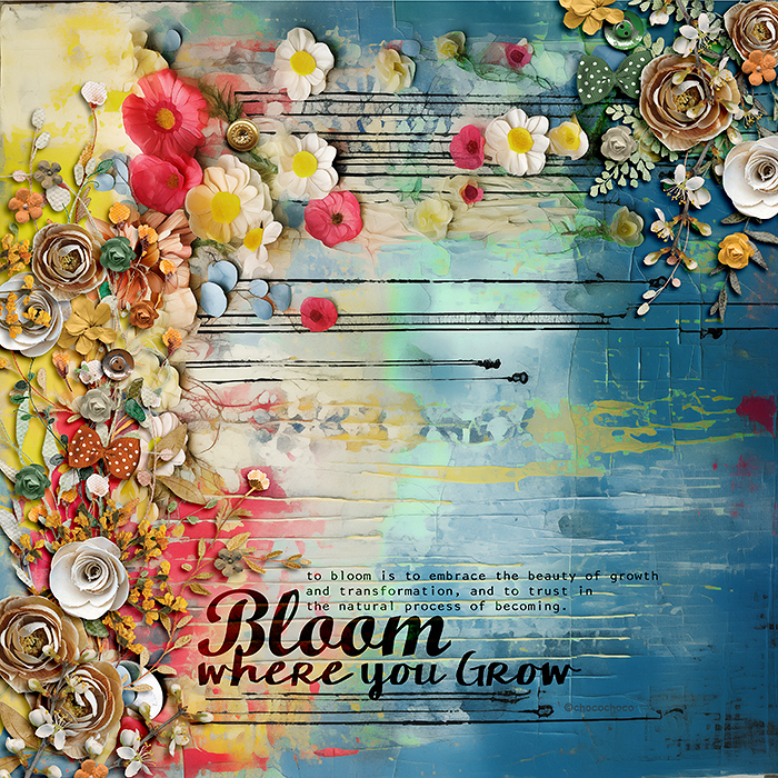 Bloom