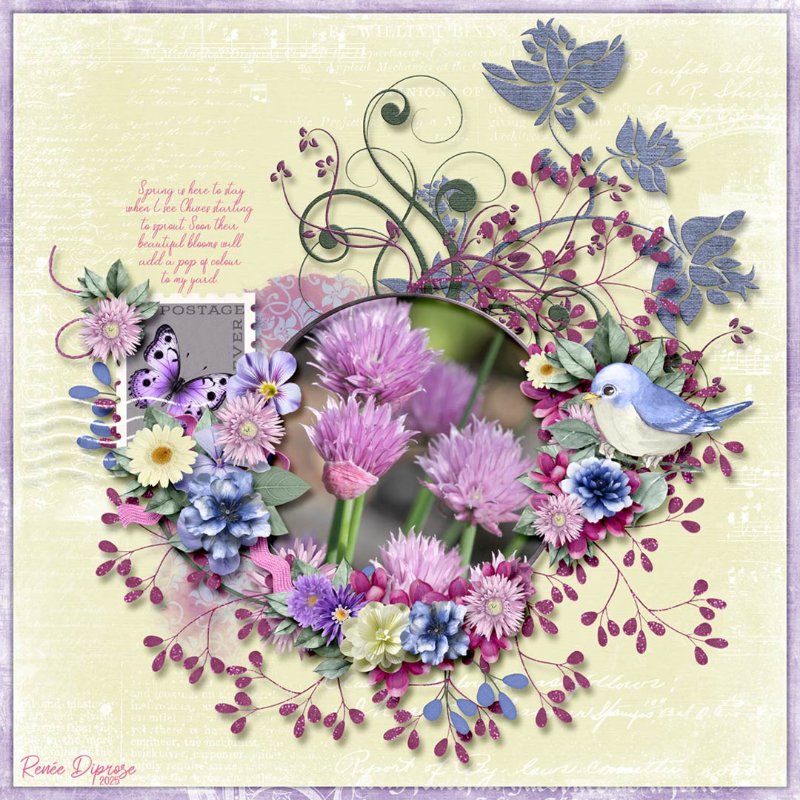 Blooming Garden