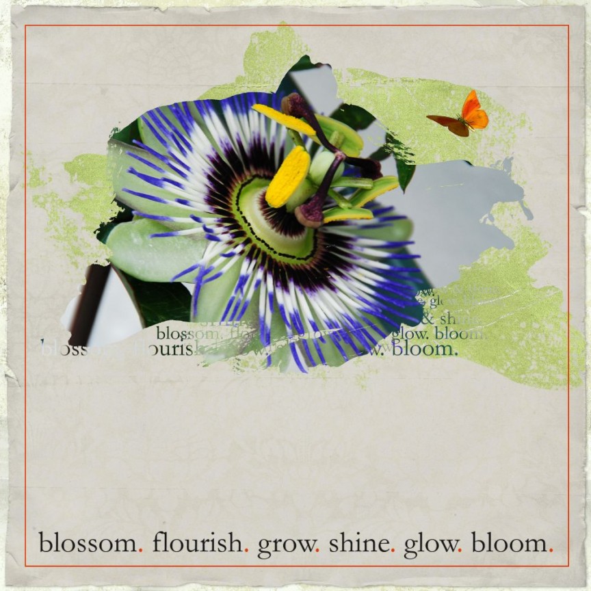 blossom.flourish.grow