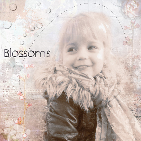 Blossoms