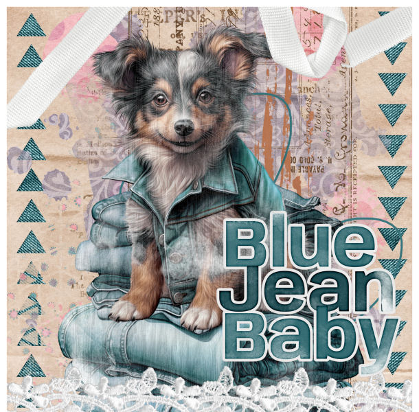 blue jean pup