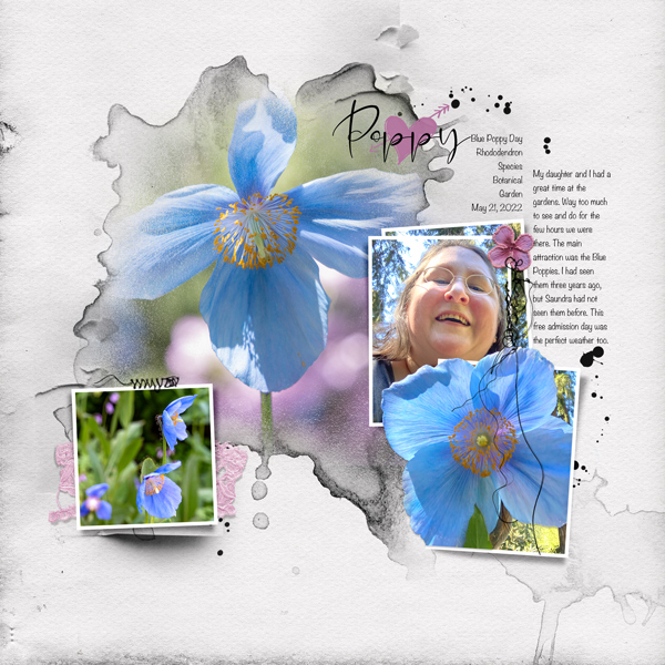 Blue Poppies